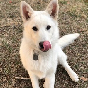 Meet your Posher, Emilio